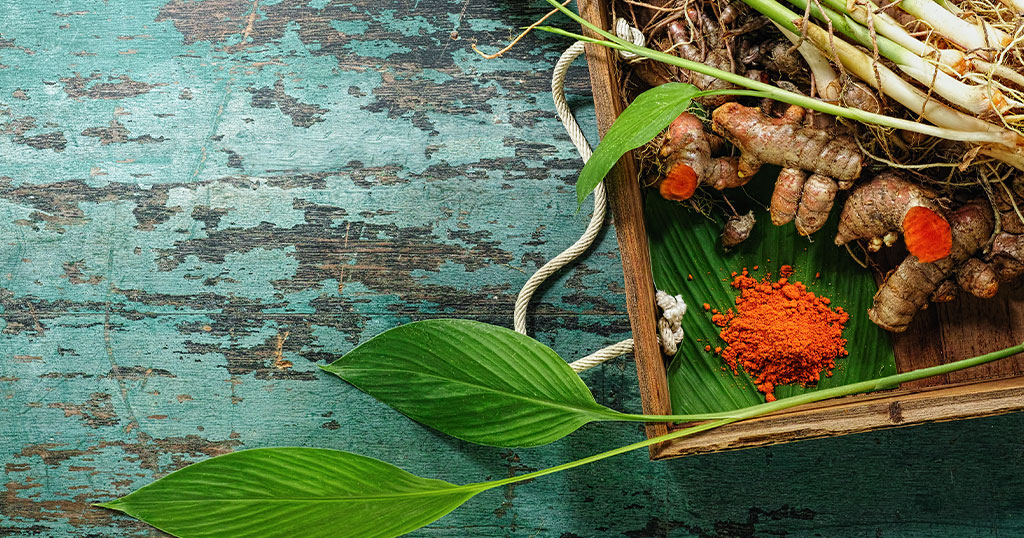 kurkuma-ratgeber-headerbild-bio-v2-1220