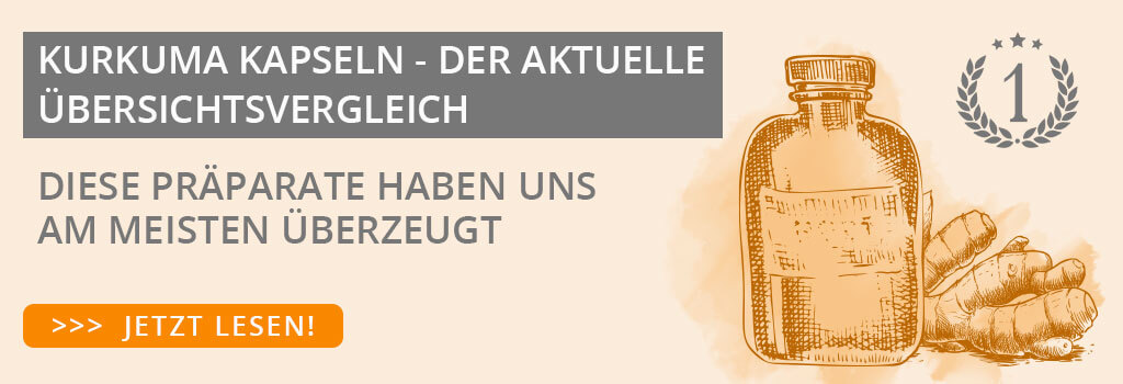 kurkuma-ratgeber-test-banner-verlinkung-holistisch