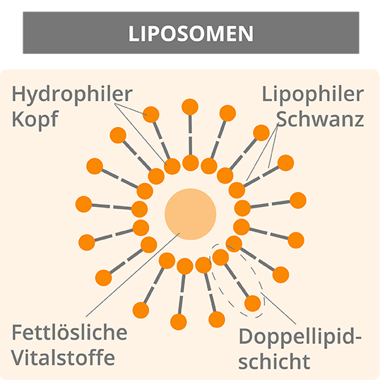 liposomen-kurkuma-ratgeber-infografik