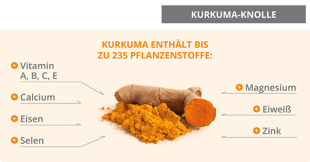 pflanzenstoffe-knolle-kurkuma-ratgeber-infografik